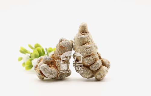 三七的鉴别及选择 三七的鉴别及选择