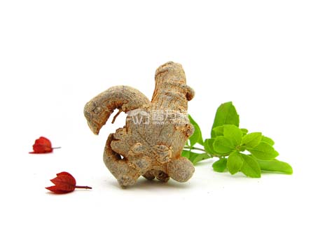 三七粉和黄芪粉能一起喝吗