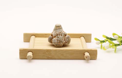 三七别名等知识 三七别名等知识