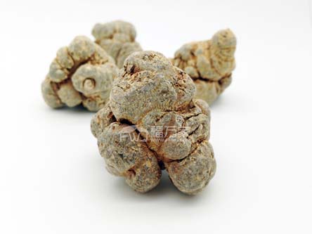 三七粉干吃好还是泡水喝好 三七粉干吃好还是泡水喝好