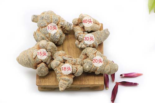 种植三年的三七