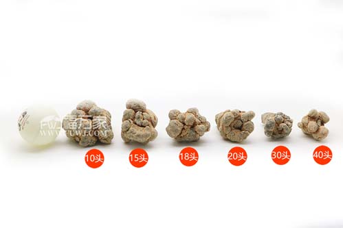 至少买多少头三七 至少买多少头三七