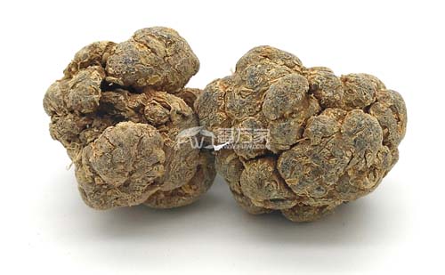 大个头三七 大个头三七