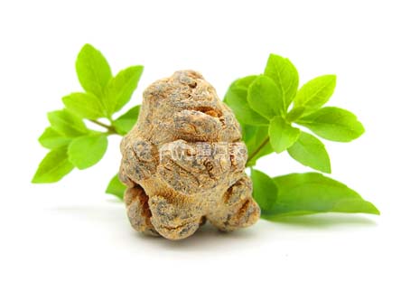 三七粉补血的功效 三七粉补血的功效