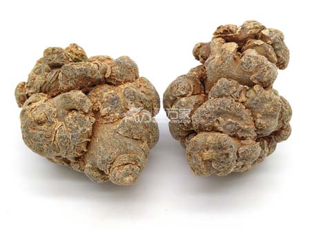 三七炖鸡都能吃 三七炖鸡都能吃