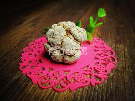 晒干的三七 晒干的三七