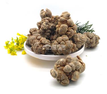 三七不是穿心莲