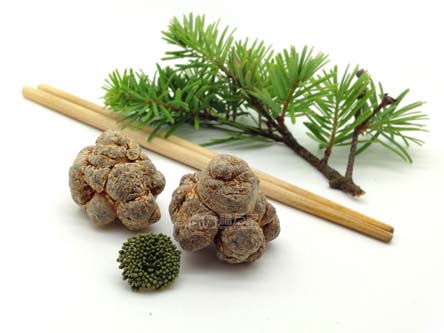 空腹吃三七粉 空腹吃三七粉