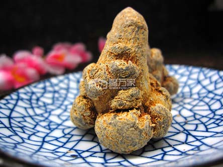 空腹吃三七粉 空腹吃三七粉