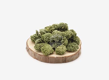 三七花大朵的好 三七花大朵的好