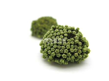 三七花大朵的好 三七花大朵的好