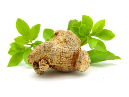 三七粉冷吃和热吃 三七粉冷吃和热吃