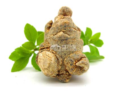 有文山牌三七? 有文山牌三七?