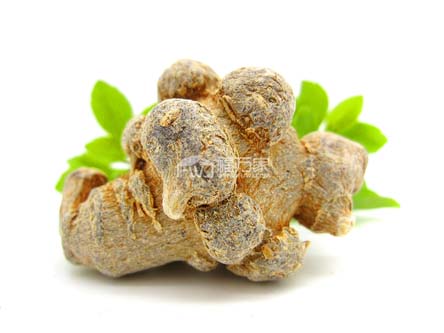 三七头数与质量关系