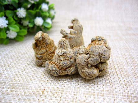 吃三七粉早晚一次吗 吃三七粉早晚一次吗