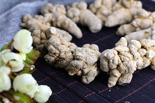 三七粉补血和活血 三七粉补血和活血