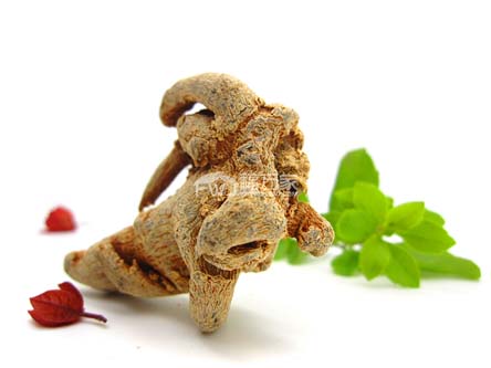 药店里卖的三七粉怎么样 药店里卖的三七粉怎么样