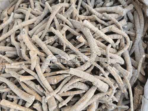 三七根多少钱一斤 三七根多少钱一斤