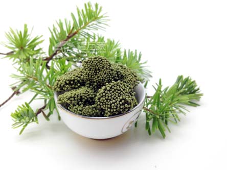 喝三七花的时间