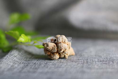 文山三七比其他的贵