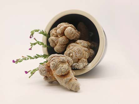 网站买真三七粉