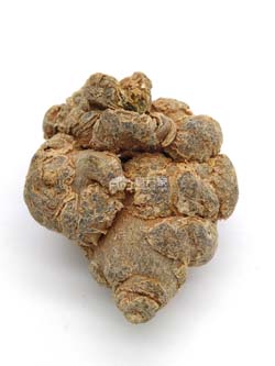 20头三七多大 20头三七多大