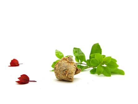 哪个时间吃三七粉吸收好