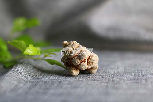 云南哪家三七粉好 云南哪家三七粉好