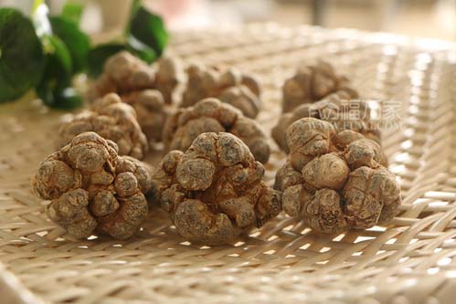 三七粉在哪个季节容易坏 三七粉在哪个季节容易坏