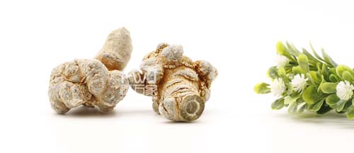 40头三七 40头三七