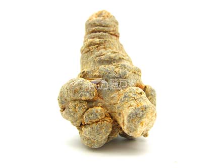 整个的三七 整个的三七