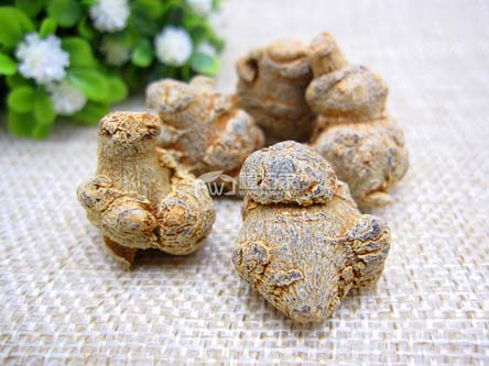 连续吃几年三七粉 连续吃几年三七粉