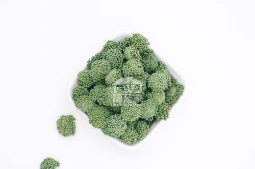 四年三七花 四年三七花