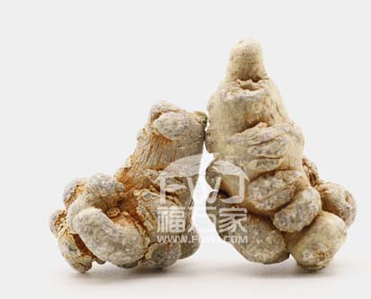 三七粉罐装的和瓶装的