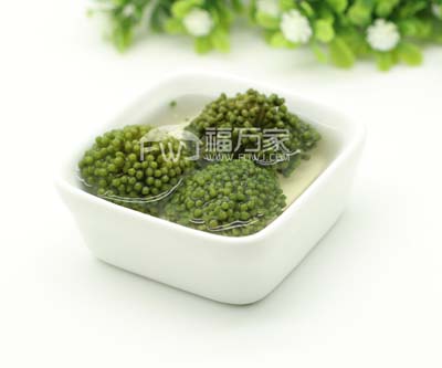 什么样的三七花好 什么样的三七花好