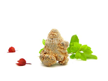 三七粉的存放 三七粉的存放