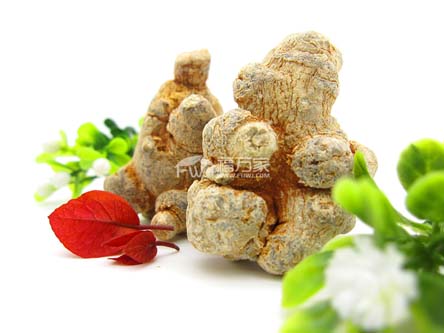 真假三七粉 真假三七粉