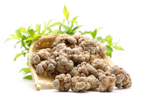 三七粉的作用与功效影响因素 三七粉的作用与功效影响因素