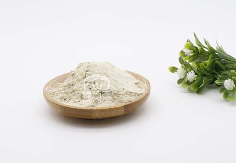 三七粉长期吃的坏处 三七粉长期吃的坏处