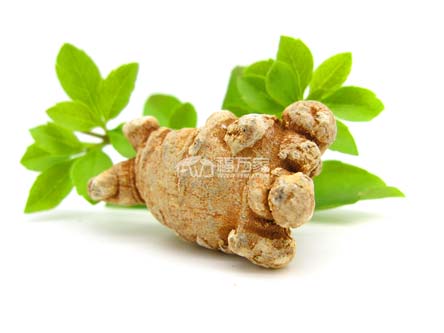 三七粉降高血压 三七粉降高血压