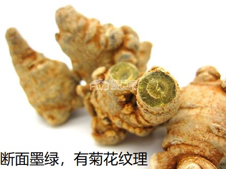 什么样的三七好