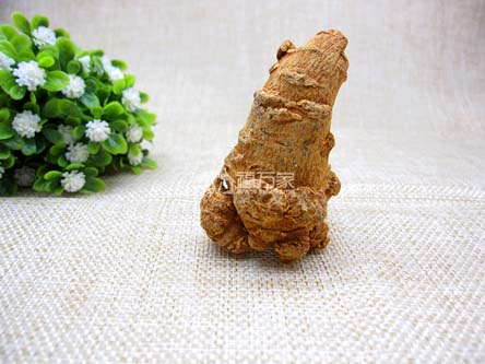 一斤三七的价格 一斤三七的价格