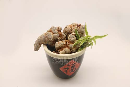 三七粉的药用价值