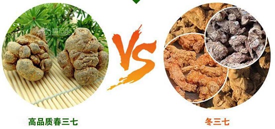 三七是否饱满 三七是否饱满