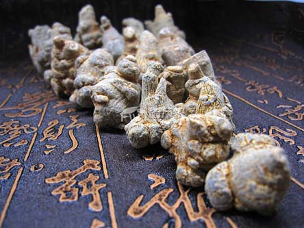 三七的功效 三七的功效