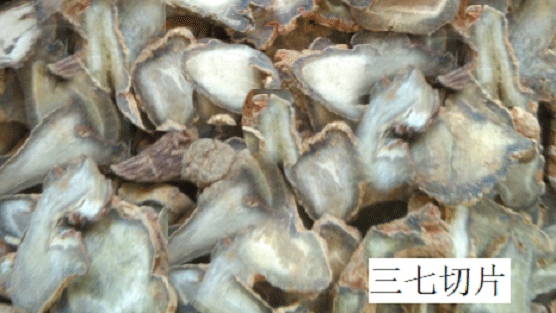 三七怎样食用 三七怎样食用