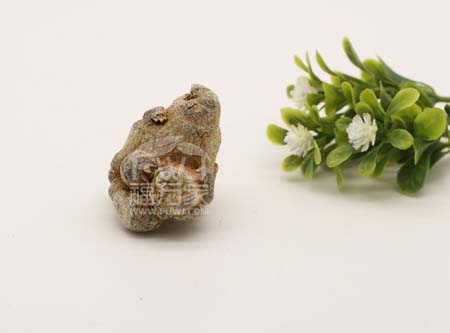 三七产地在哪里最好