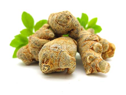 田七海马增高 田七海马增高