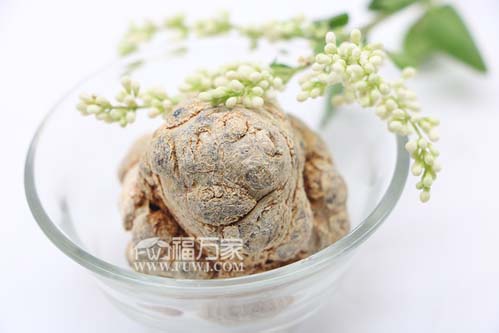 三七跟田七一样 三七跟田七一样