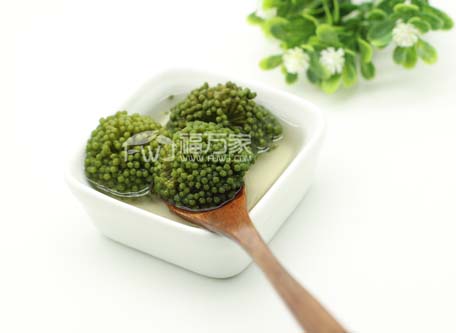 三七花茶 三七花茶